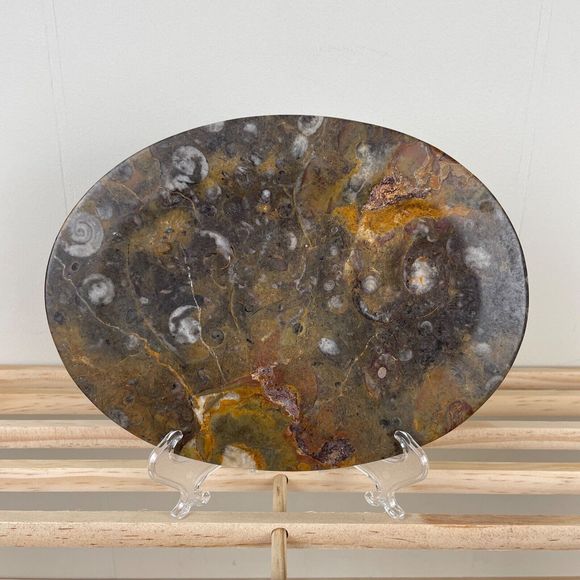 Polished Stone Ammonite Fossil‎ Oval Plate Trinket Dish 8" x 6" - Picture 1 of 8